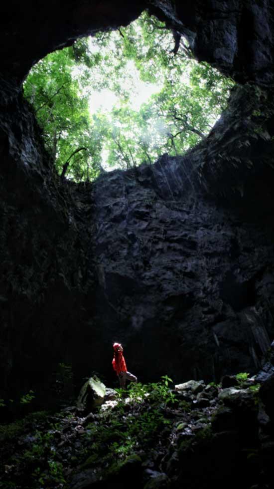 重庆：建面未超过180平方米的高档住房无需缴房产税